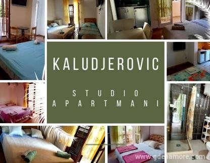 Apartmani Kaludjerovic , privatni smeštaj u mestu Igalo, Crna Gora - open house ad real estate flyer - Made with Poster